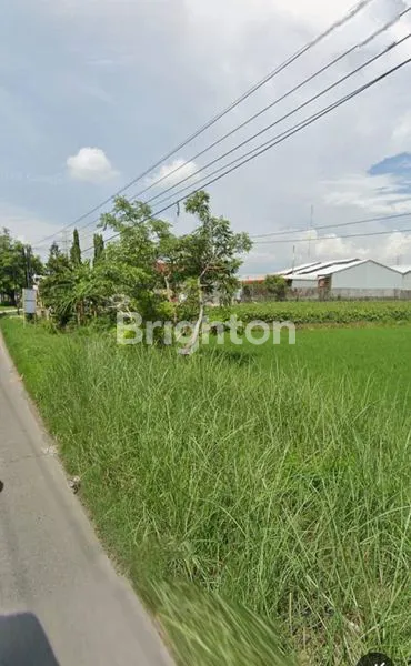 image TANAH SAWAH PREMIUM 4261M² PINGGIR JALAN RAYA DEMAK-BONANG (3)