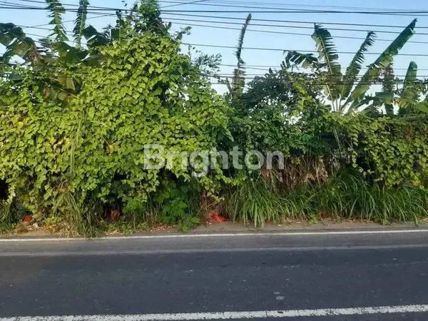 image TANAH JL. UTAMA RENON COCOK UNTUK USAHA  (3)