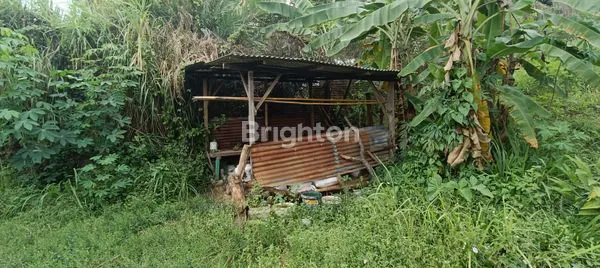 image LAHAN BEKAS KEBUN JERUK STRATEGIS DI PRIGEN, PANDAAN (5)