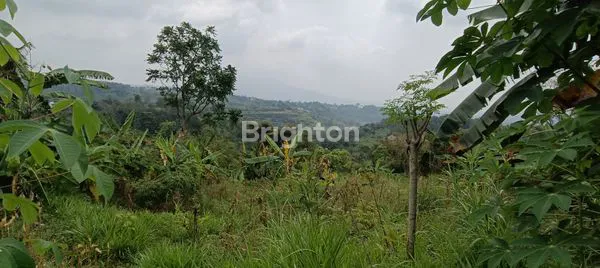 image LAHAN BEKAS KEBUN JERUK STRATEGIS DI PRIGEN, PANDAAN (7)