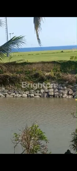 image DI JUAL TANAH DENGAN LOS PANTAI SABA (2)