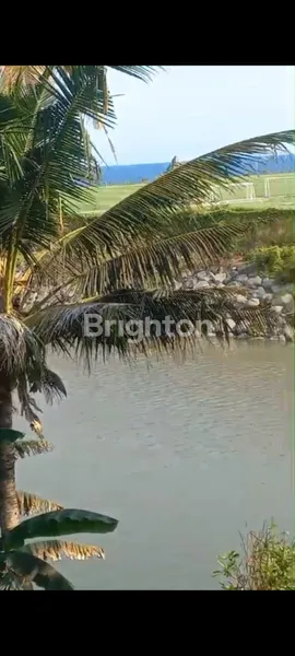 image DI JUAL TANAH DENGAN LOS PANTAI SABA (6)