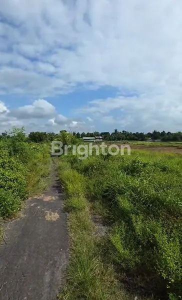 image TANAH STRATEGIS DEKAT PANTAI SIYUT, GIANYAR BALI (3)