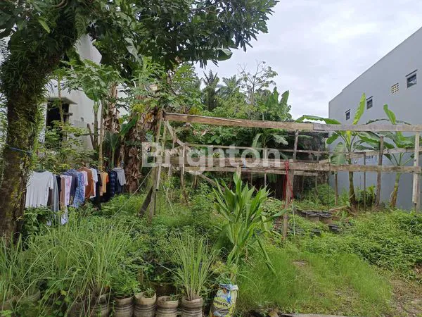 image DIJUAL MURAH TANAH DI JALAN PRAMUKA UNMUL KOTA SAMARINDA (3)