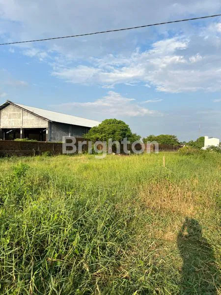 image TANAH KOMERSIAL PREMIUM 2300M² DI JALAN POROS GALESONG TAKALAR (2)