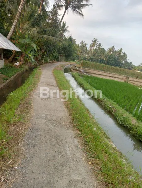 image DIJUAL TANAH SAWAH STRATEGIS DI WANASARI , TABANAN (3)