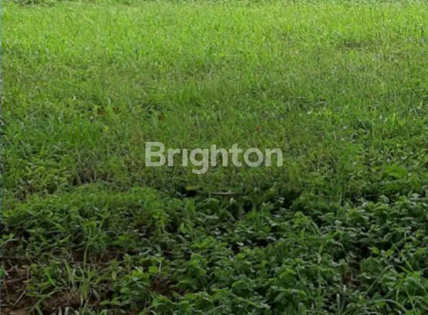 image KAVLING TANAH TINGGI JAKARTA PUSAT (1)