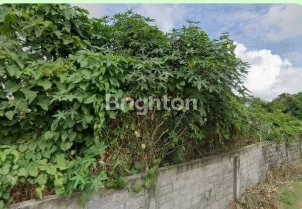 image DISEWAKAN TANAH STRATEGIS DI BYPASS NGURAH RAI TUBAN – COCOK UNTUK BISNIS & INVESTASI JANGKA PANJANG (2)