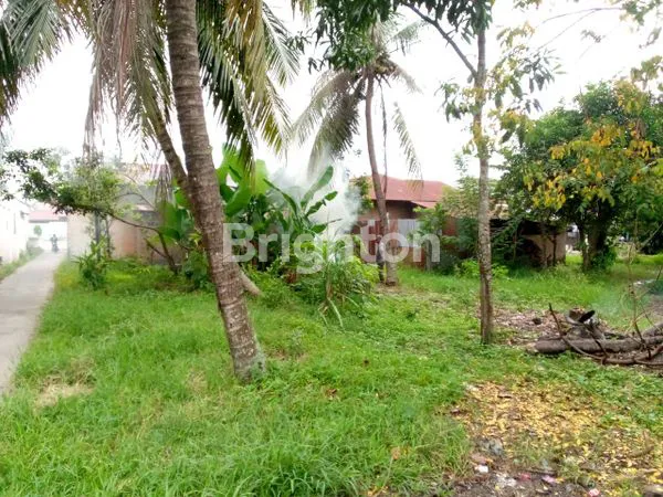 image TANAH DI BINJAI BARAT, SHM, LUAS TANAH 585M2 (3)