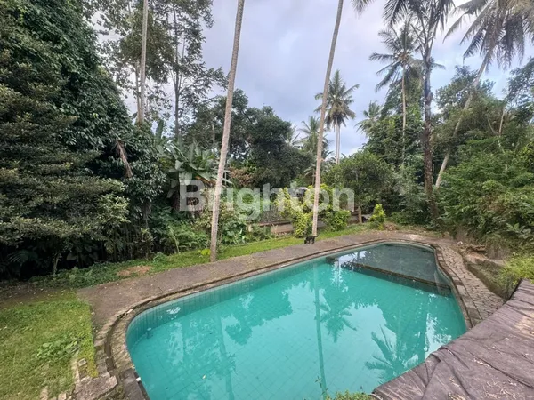 PREMIUM LAND WITH JUNGLE & RIVER VIEW DI SINGAKERTA UBUD – COCOK UNTUK VILLA & RESORT