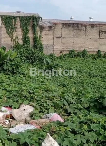 image DIJUAL TANAH, DAAN MOGOT,JAK BAR (2)