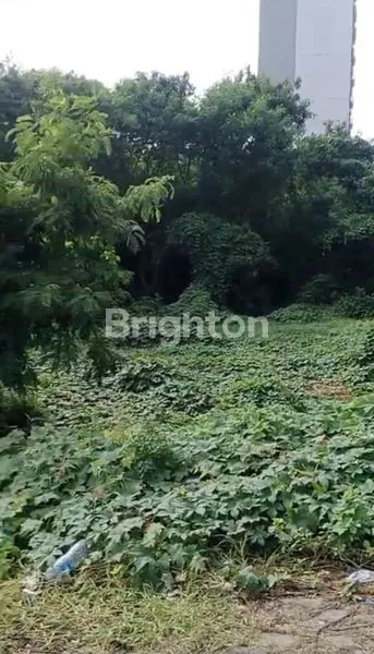 image DIJUAL TANAH, DAAN MOGOT,JAK BAR (4)