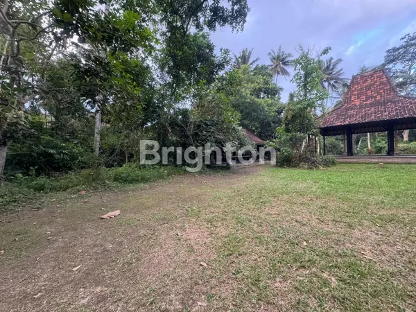 TANAH PREMIUM 33 ARE DENGAN VIEW SUNGAI ASRI – 15 MENIT KE PUSAT UBUD