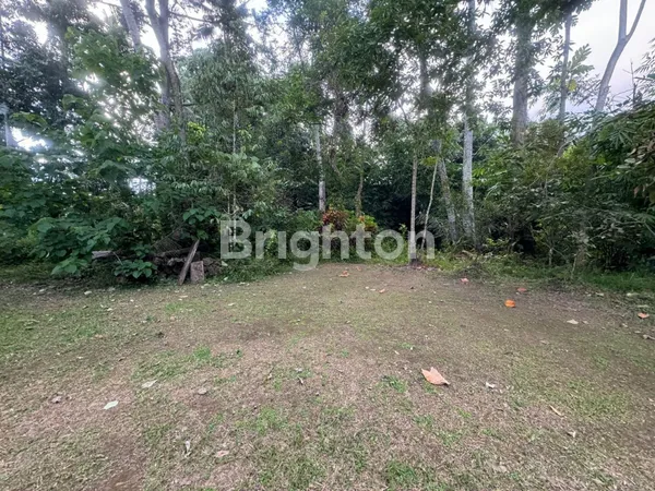 image TANAH PREMIUM 33 ARE DENGAN VIEW SUNGAI ASRI – 15 MENIT KE PUSAT UBUD (2)