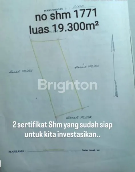 image TANAH PERKEBUNAN PRODUKTIF 4 HA - VIEW LAUT & GUNUNG DI GESING BULELENG  (7)