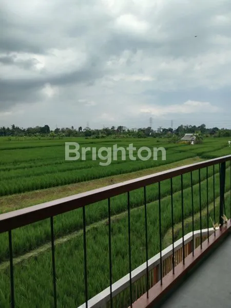 image FOR RENT VILLA WITH 2 BED ROOMS IN  KEDIRI TABANAN (8)