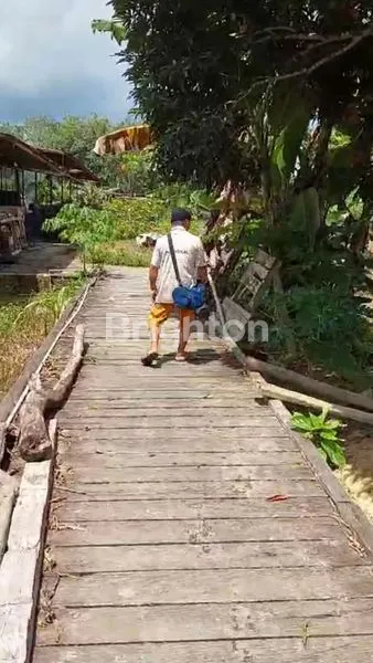 image TANAH PINGGIR SUNGAI AMBALUT BISA UNTUK SANDARAN KAPAL (4)