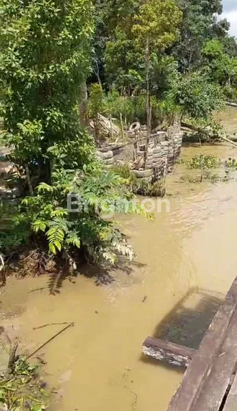TANAH PINGGIR SUNGAI AMBALUT BISA UNTUK SANDARAN KAPAL