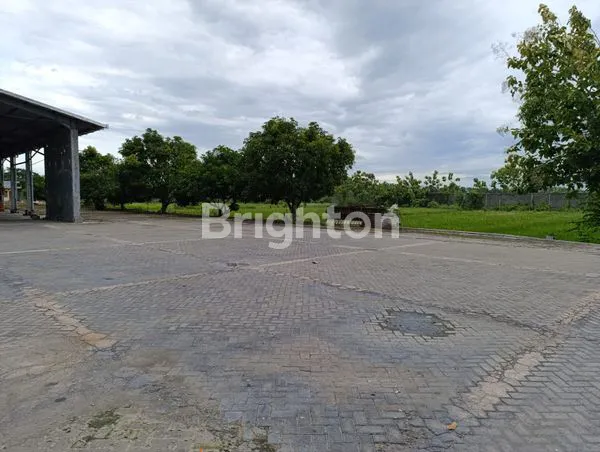 image DIJUAL LAHAN STRATEGIS DEKAT BOJONEGORO, ARAH CEPU (3)