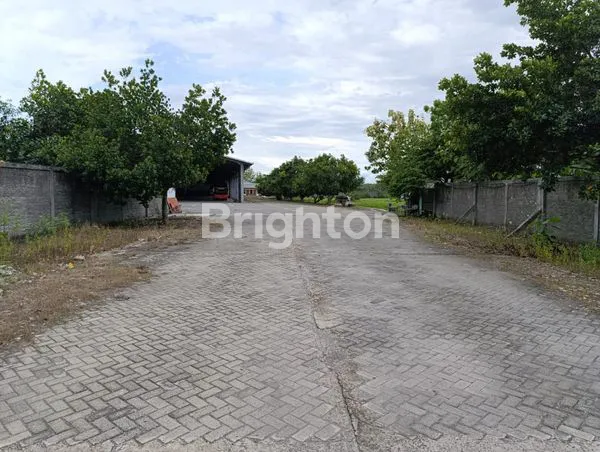 image DIJUAL LAHAN STRATEGIS DEKAT BOJONEGORO, ARAH CEPU (4)