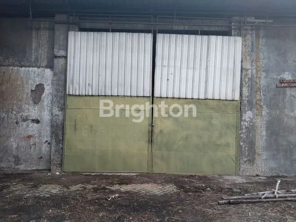 image GUDANG PANDAAN KABUPATEN PASURUAN (6)