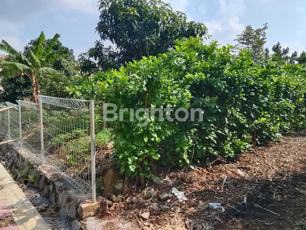image LAHAN DATAR SUDAH PONDASI KELILING DI UNDIP TEMBALANG (4)
