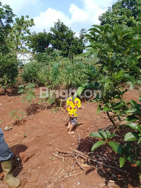image LAHAN DATAR SUDAH PONDASI KELILING DI UNDIP TEMBALANG (8)
