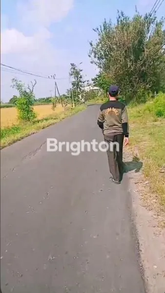 image  TANAH LOKASI BALONGPANGGANG GRESIK  (2)