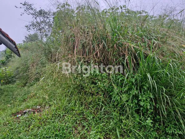 image TANAH LUAS, COCOK UNTUK PETERNAKAN DAN PERKEBUNAN (6)