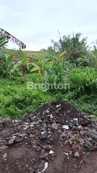 image TANAH 2 ARE SIBANG GEDE (5)