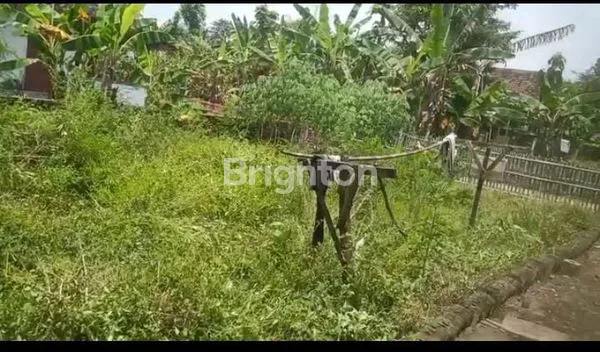 image TANAH DI DUNGAN BEGAJAH SUKOHARJO  (1)