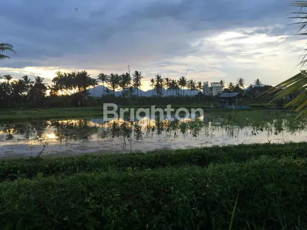 image TANAH 4 HEKTAR DISEWAKAN DI JALAN CINTA UBUD – LOKASI STRATEGIS DENGAN POTENSI INVESTASI TINGGI (5)