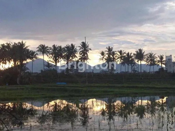 image TANAH 4 HEKTAR DISEWAKAN DI JALAN CINTA UBUD – LOKASI STRATEGIS DENGAN POTENSI INVESTASI TINGGI (6)