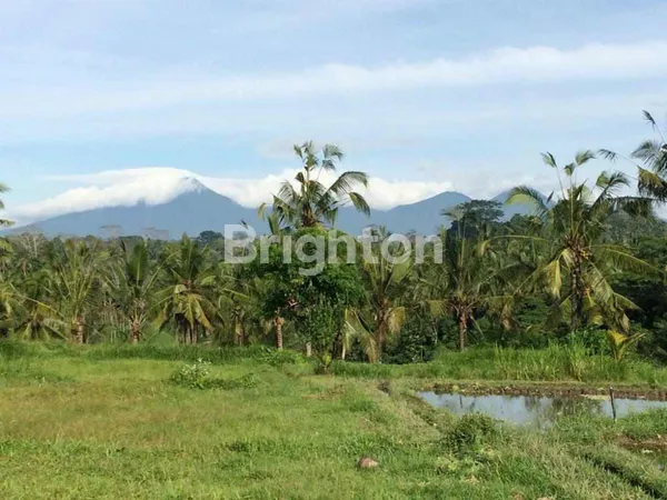 image TANAH 4 HEKTAR DISEWAKAN DI JALAN CINTA UBUD – LOKASI STRATEGIS DENGAN POTENSI INVESTASI TINGGI (8)
