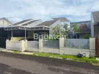 IMG 20250609 WA01051