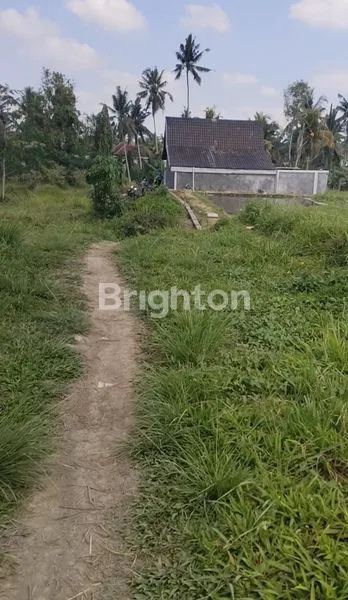 TANAH DENGAN  VIEW SAWAH DAN SUNGAI COCOK UNTUK VILLA LOKASI TEGALALANG UBUD