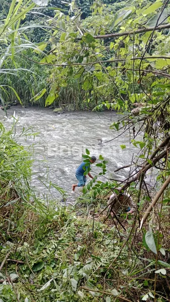 image TANAH LUAS VIEW SAWAH DAN SUNGAI DI  UBUD (3)
