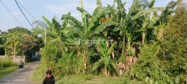 image TANAH PREMIUM 400M² VIEW GUNUNG, 7 MENIT KE PANTAI UMEANYAR (2)