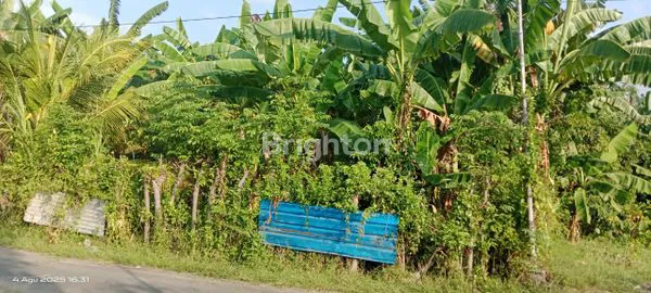 image TANAH PREMIUM 400M² VIEW GUNUNG, 7 MENIT KE PANTAI UMEANYAR (3)