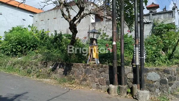 image TANAH 3 ARE NUSA DUA (5)