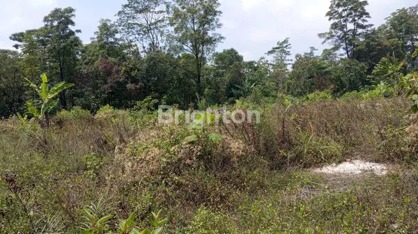 image TANAH LUAS VIEW GUNUNG AMPEL BOYOLALI (4)