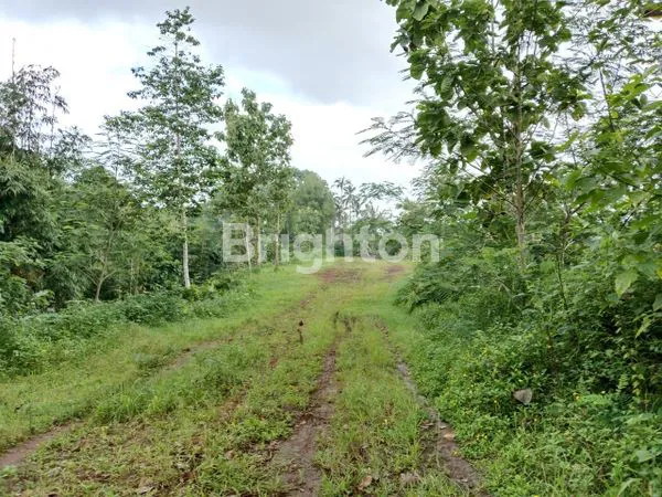 DIJUAL KAVLING TANAH EKSKLUSIF DI WONGAYA GEDE – TABANAN