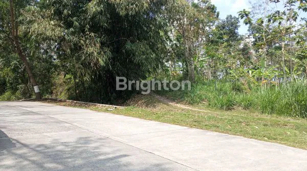 image TANAH 5HA DI ZONA INDUSTRI SRUWEN AMPEL BOYOLALI  (2)