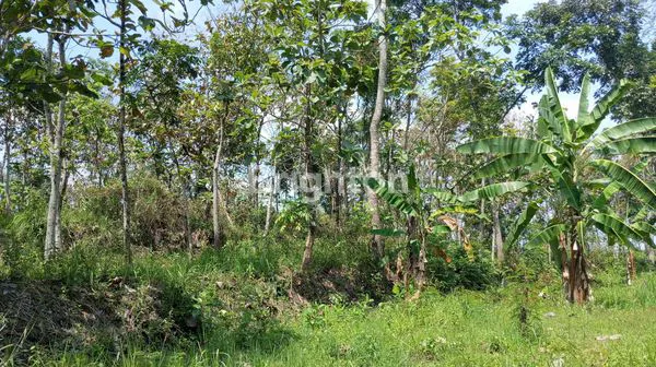 image TANAH 5HA DI ZONA INDUSTRI SRUWEN AMPEL BOYOLALI  (7)