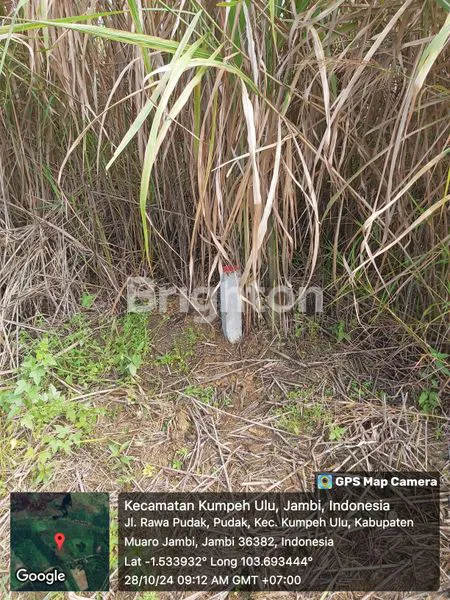 image LAHAN KOSONG DI JAMBI (2)