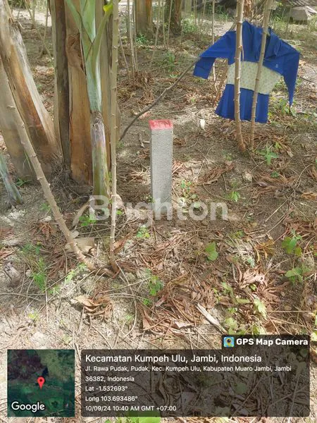 image LAHAN KOSONG DI JAMBI (4)