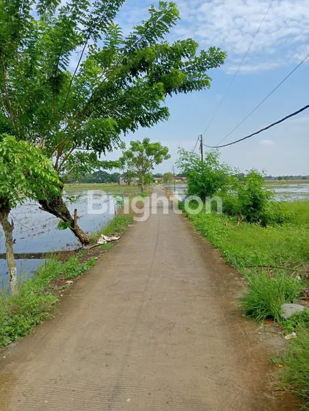 image SAWAH PRODUKTIF DENGAN IRIGASI TERBAIK (3)