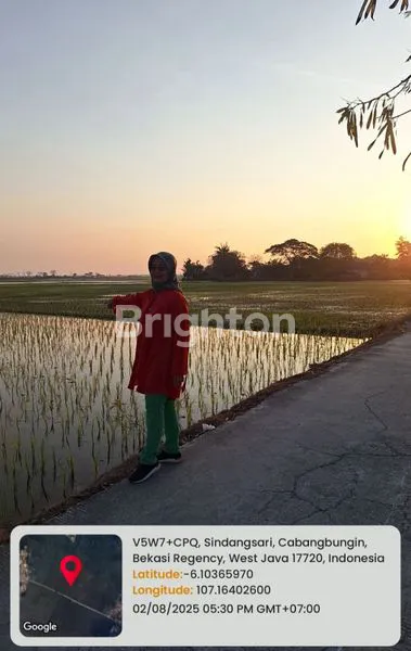 image SAWAH PRODUKTIF DENGAN IRIGASI TERBAIK (2)