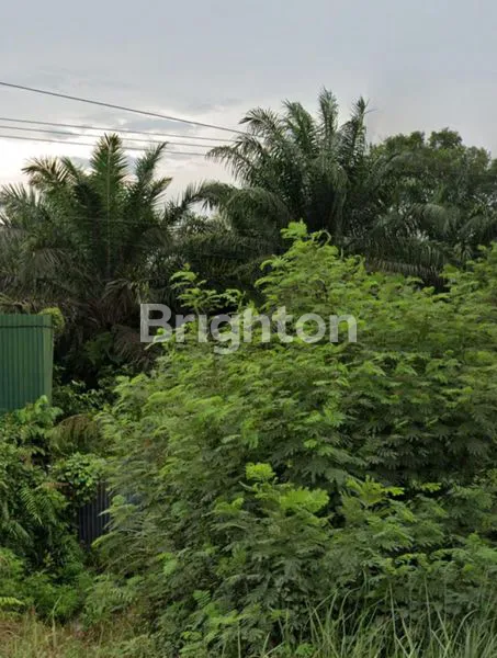 image TANAH INDUSTRI 1.2 HA PINGGIR JALAN LINTAS TIMUR KAMPAR (4)