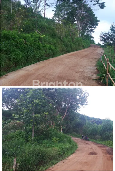 image TANAH CIMENYAN JL. AZAKA TIMUR KABUPATEN BANDUNG BARAT  (7)